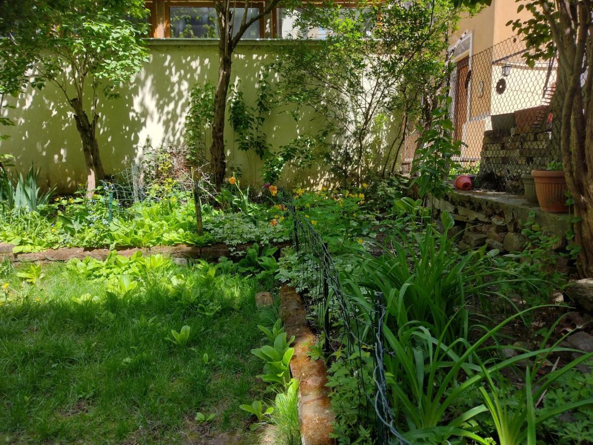 Charming Central Home With Garden Near Parking And Ndk Szófia Kültér fotó